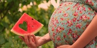 watermelon slices in the hand of a pregnant woman